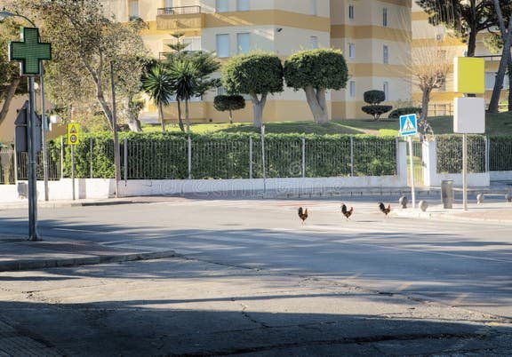 Descubre el Misterio de la Ruta de la Gallina en España y Ganar Dinero - overview